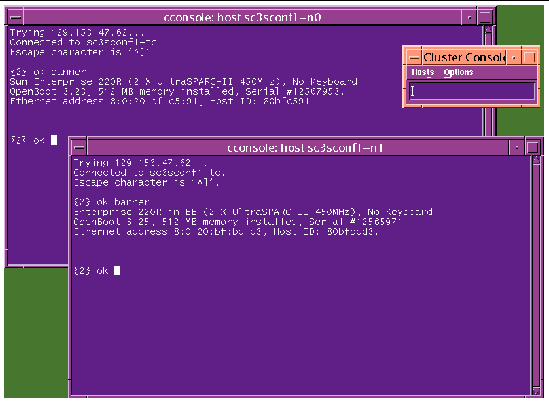 Screen showing the Cluster Nodes Console windows.
