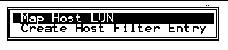 Screen capture showing "Map Host LUN" selected.