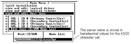 Screen capture of the terminal menu option Edit Host-ID/WWN showing the server information.