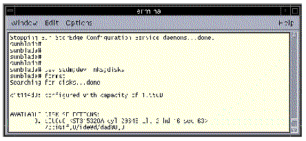 Screen capture of the Format command displaying the system disk and other files attached to the array.