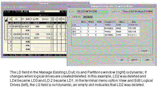 Screen capture showing the difference between what the program and the terminal menu option displays when a logical drive is deleted.