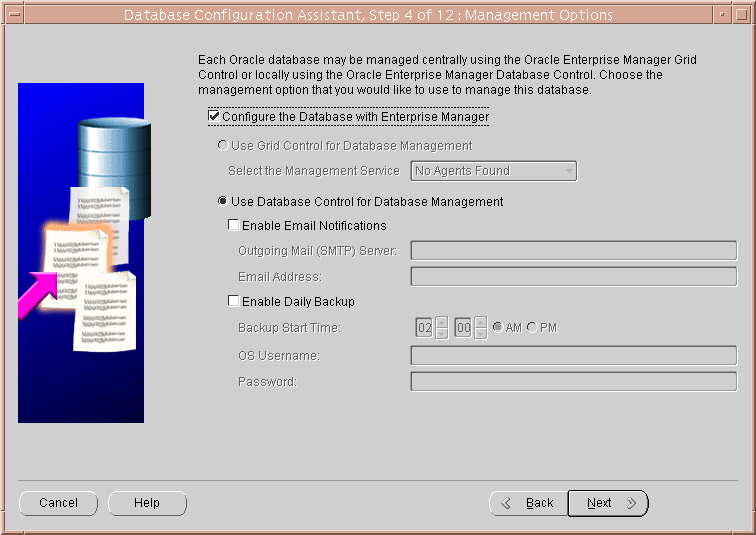 Description of dbca_mgmt_options_page.gif follows