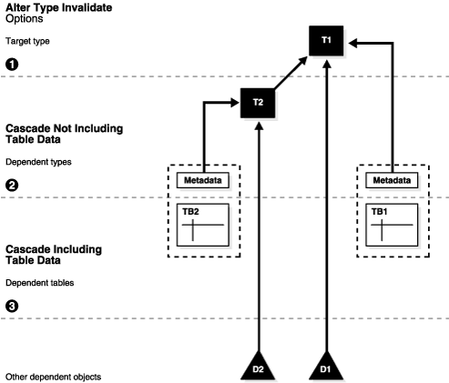 Description of Figure 8-1 follows