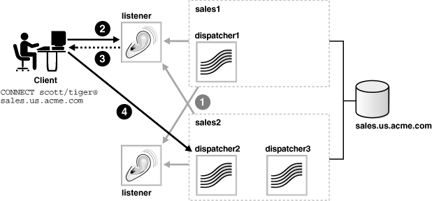 Description of Figure 13-2 follows